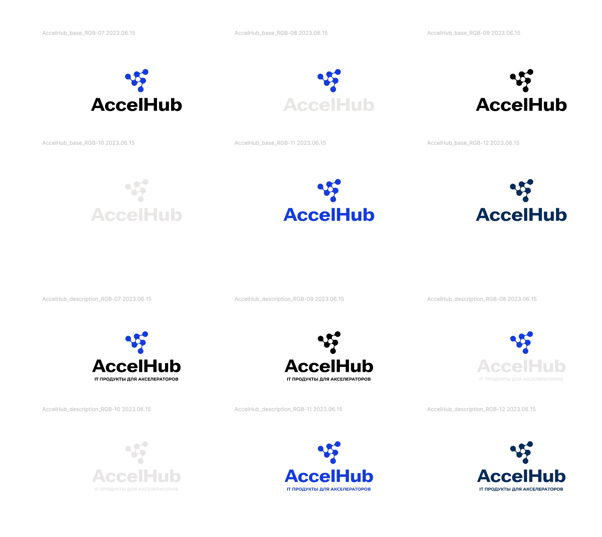 Варианты логотипа AccelHub