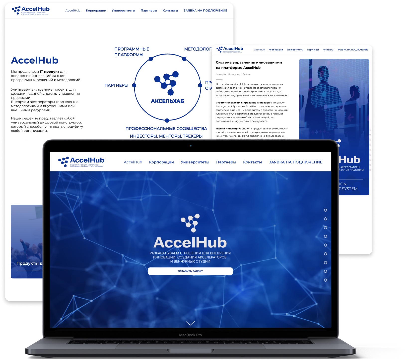 Адаптивные экраны сайта AccelHub